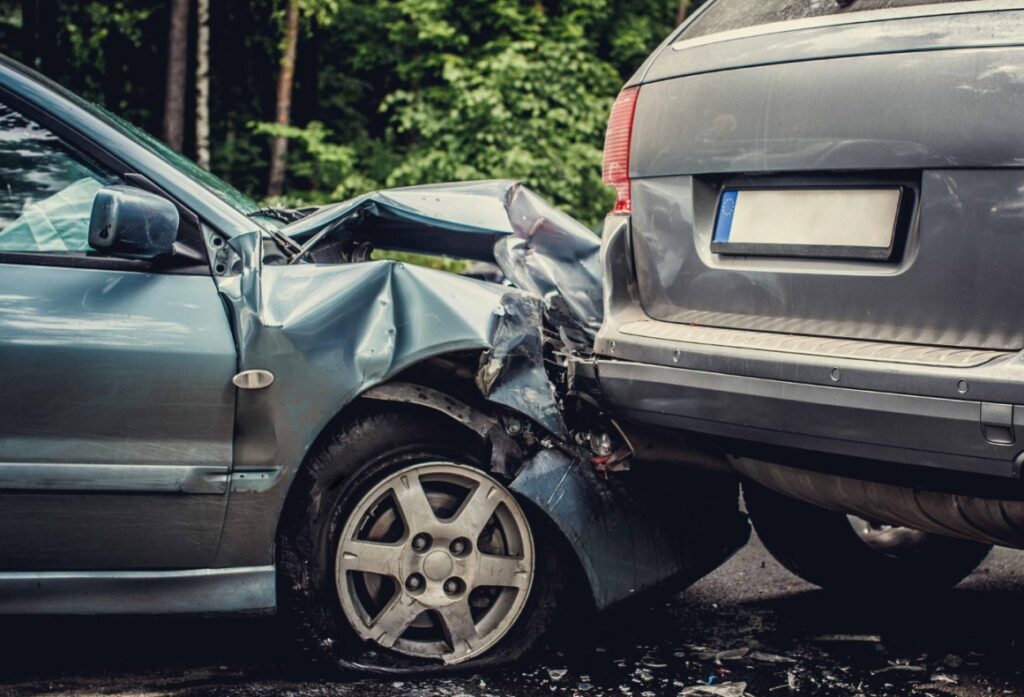 Tragiczne zdarzenie drogowe z udziałem łosia i samochodu w osadzie leśnej Żółno