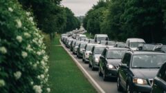 Dojazd do cmentarza: jednokierunkowe ulice i nowe znaki