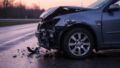 Wypadek pod Kłobuczynem. Komisja sprawdziła drogę